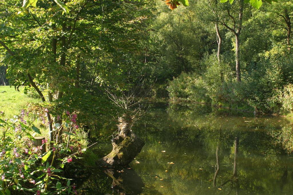 Ústí nad Orlicí 图里斯提卡萨克尔旅舍旅舍 外观 照片